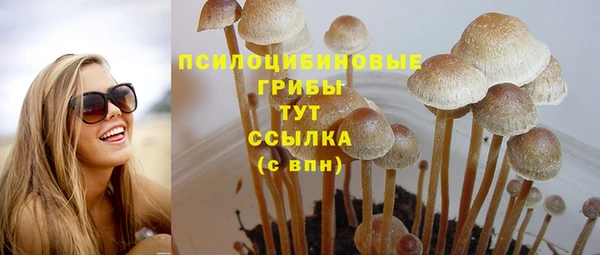 марихуана Белокуриха