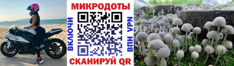 даркнет сайт  Томари  Псилоцибиновые грибы Cubensis 